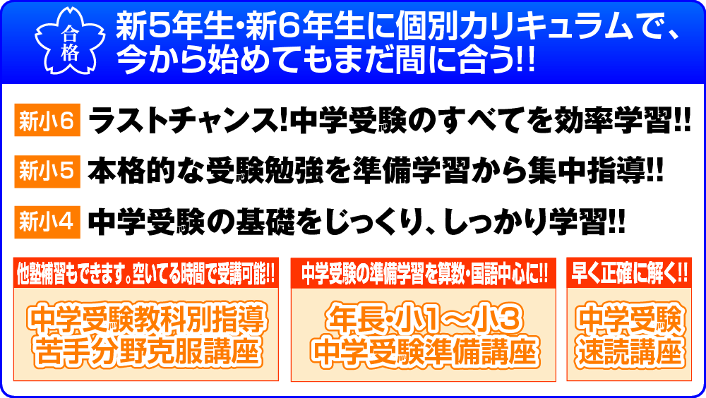新5年生・新6年生に個別カリキュラムで、今から始めてもまだ間に合う!!