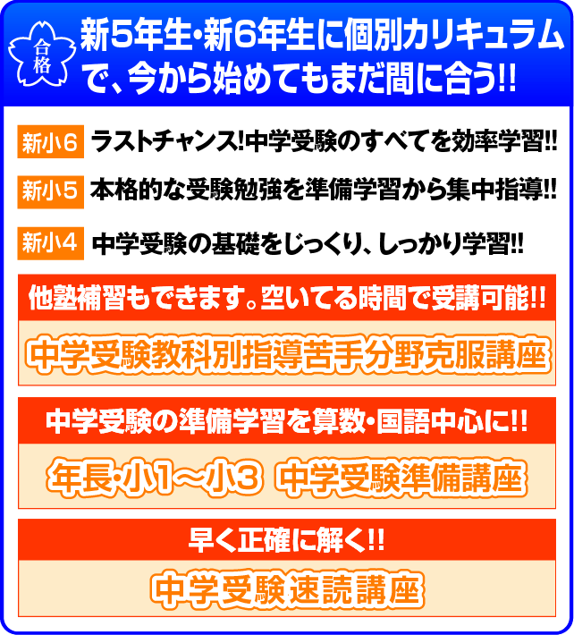 新5年生・新6年生に個別カリキュラムで、今から始めてもまだ間に合う!!